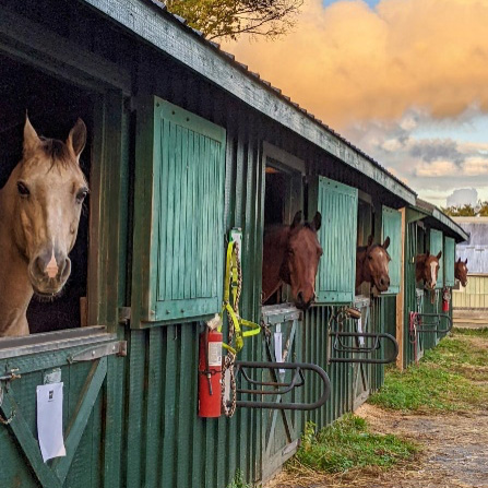 Lord Stirling Stable