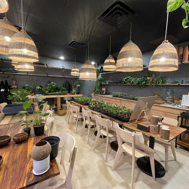 Spotted Leaf Plant Company in Somerville